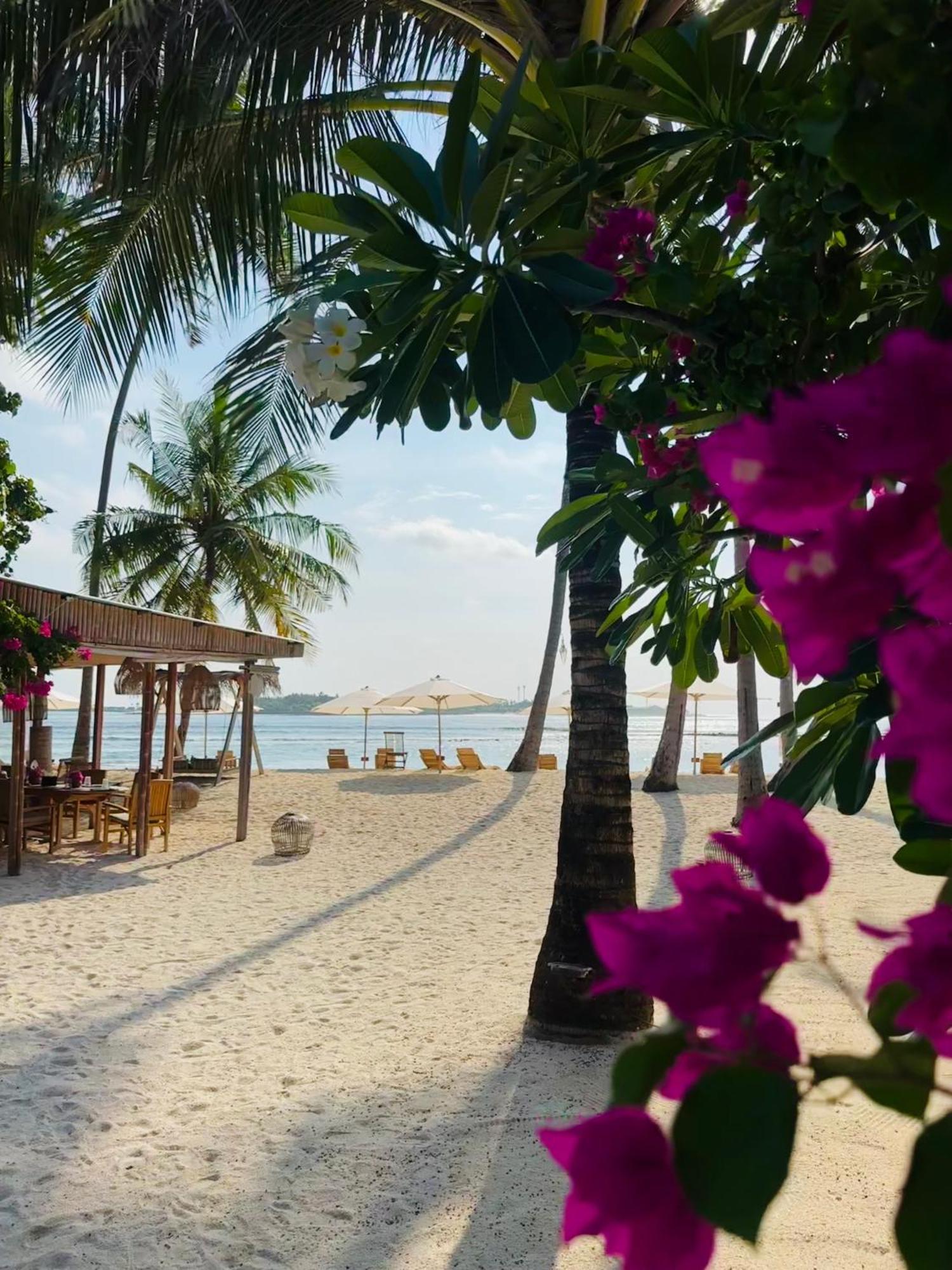 Met House Hotel Thulusdhoo Eksteriør billede